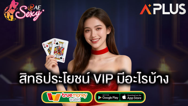 aesexy vip เข้าสู่ระบบ